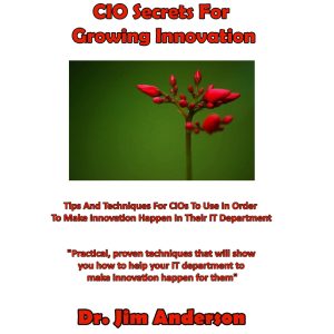 CIO Secrets For Growing Innovation