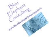 Blue Elephant Consulting
